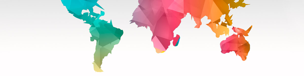 Nuestros partners